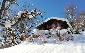 Ferienhaus Schnider